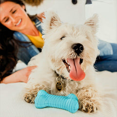 Playology peanut butter scented toy highlights engaging scent-driven play sessions