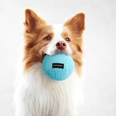 Playology plush-ball inside-mesh emphasizes scent-embedded design and durability