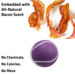Playology Squeaky Chew Ball durable rubber texture for tough chewing.