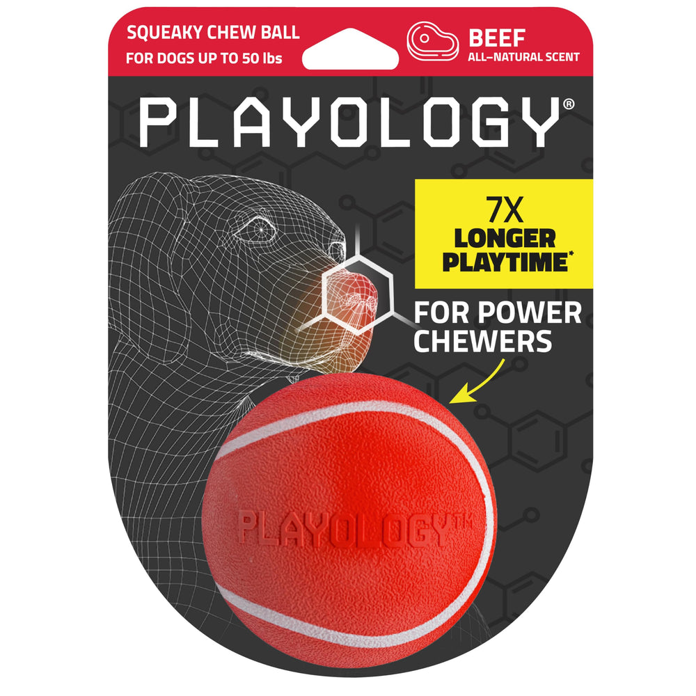 Playology Squeaky Chew Ball indoors demonstrates durable indoor play.