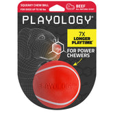 Playology Squeaky Chew Ball indoors demonstrates durable indoor play.
