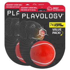 Playology Squeaky Chew Ball close-up with beef scent; engaging play for dogs.
