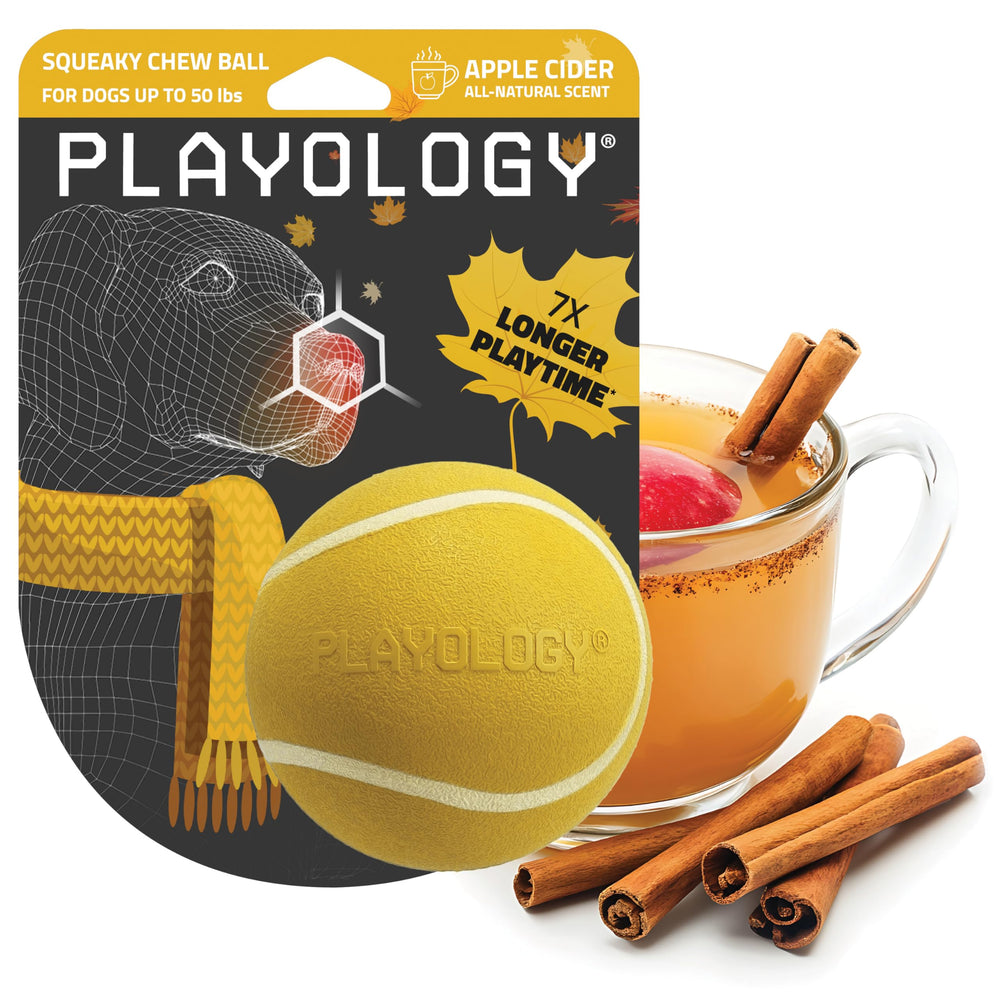 Playology Squeaky Chew Ball front-view for medium dogs, durable fetch fun