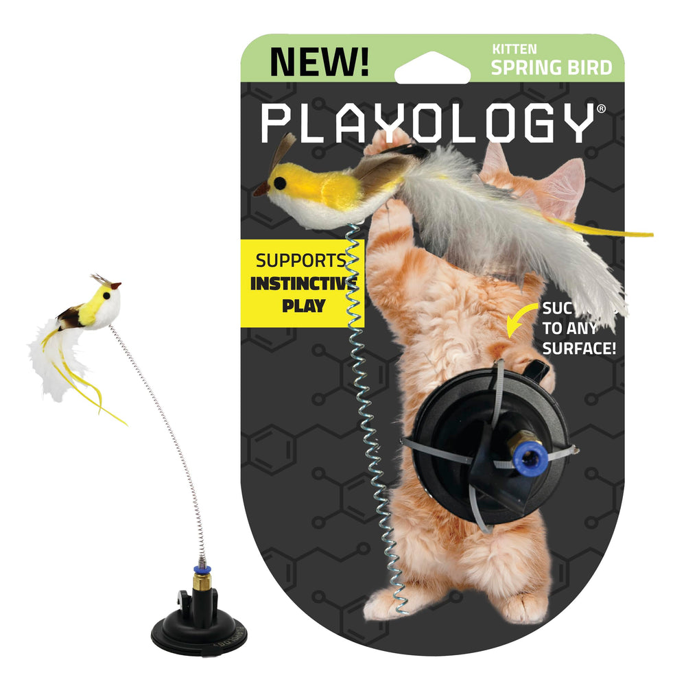 Playology suction cup spring bird closeup feather for interactive play