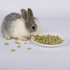 Pleasantly Warm pea flakes as a protein-rich nibble that complements herbivore diets.