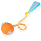 PLITTPETTS orange interactive cat ball front view for indoor play and active exercise.
