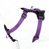Plutus Pet adjustable no-pull harness front clip for training sessions.
