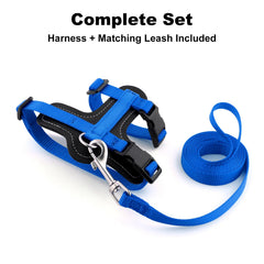 Plutus Pet escape-proof harness demonstrates snug fit to minimize slipping.