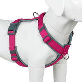 Plutus Pet No Pull Harness front view shows secure daily-walk fit.