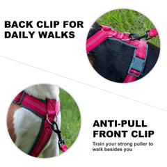 Plutus Pet No Pull Harness reflective straps increase night visibility.