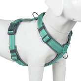 Plutus Pet No Pull Harness front view shows durable nylon for secure daily walks