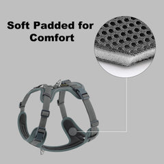 Plutus Pet no pull harness two D-rings for walking and training modes.