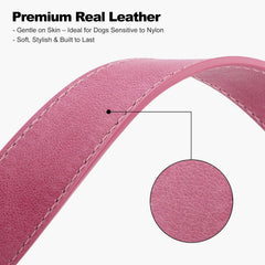 Plutus Pet reinforced metal hardware resists bending for daily leash use