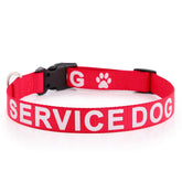 PLUTUS PET red service dog collar—durable buckle for easy one-handed use.
