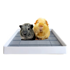 PODOO Rabbit Litter Box outer view — spacious tray for mess-free peeing