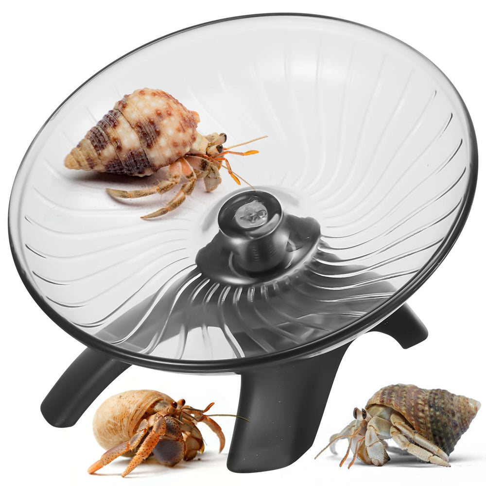 Poen Hermit Crabs Wheel Toy setup showing quick installation for small pets.