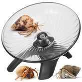 Poen Hermit Crabs Wheel Toy setup showing quick installation for small pets.