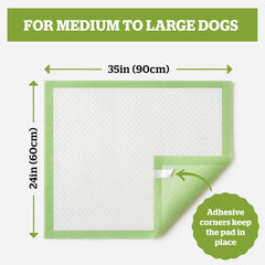 Pogi's Potty Pads six-layer core closeup demonstrates rapid liquid-to-gel absorption and odor control.