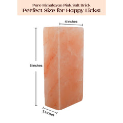 POHS Himalayan salt block 8x4x2 size shown beside feeding station.