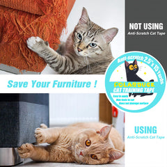 Polarduck clear tape on couch blends with decor while protecting furniture.