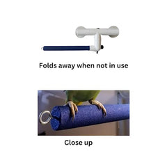 Polly's Sandy window perch small textured surface for gentle nail and beak contact.
