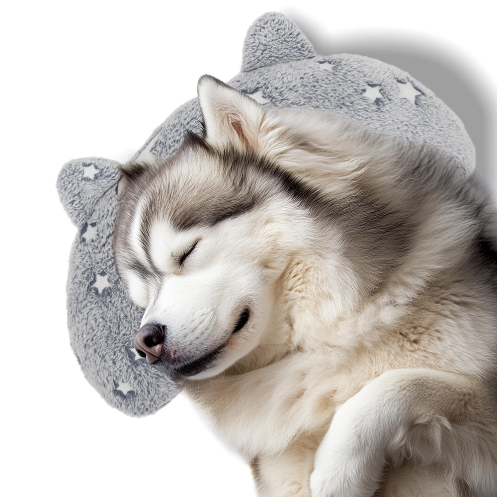 POMESEA glow-dark dog pillow lighting the night for reassurance.