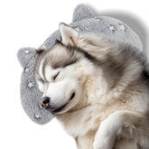 POMESEA glow-dark dog pillow lighting the night for reassurance.