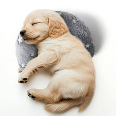 POMESEA glow-grey pillow glows at night to reassure pets during darkness.