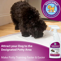 PoochPad used on artificial turf with spray for versatile surfaces.