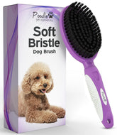 POODLIE Soft Bristle Brush front view for short fur pets showing gentle grooming with a calm pet