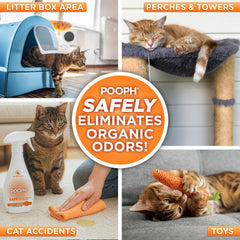 POOPH Kitty Odor Eliminator used on cat trees and furniture for odor control.