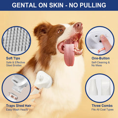 POPET 3-in-1 adjustable heat settings reveal gentle and fast-dry options for pets.