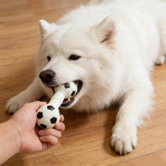 POPETPOP dog squeaky barbell toy adds interactive play and stress-relief squeaks