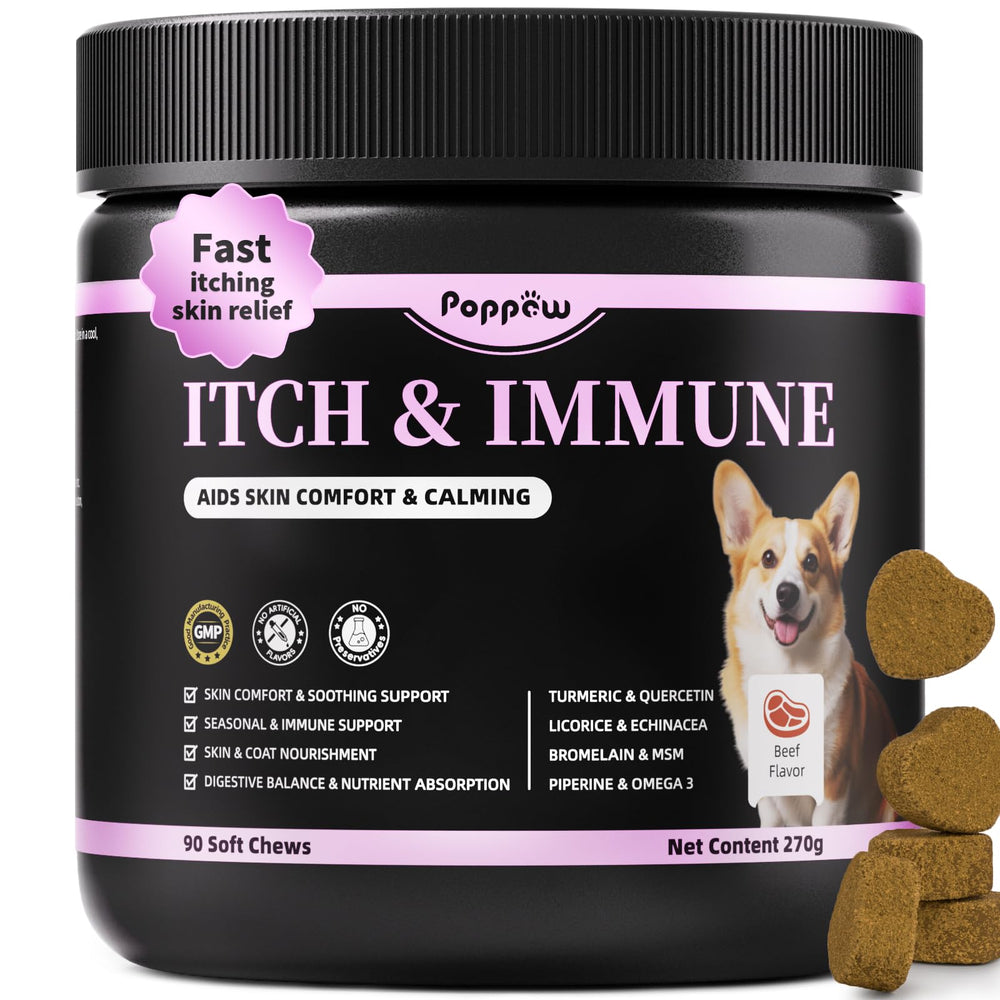 POPPAW Allergy Chews beef bottle shows a convenient daily supplement for skin comfort and coat health.