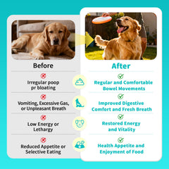 POPPAW digestive enzymes dog supplement pack demonstrates enzyme blend for nutrient utilization.
