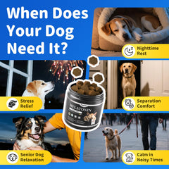 POPPAW dog melatonin chews during fireworks for calmer moments.