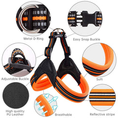 PORDLIE dog harness back view highlights easy attachment and comfortable wear