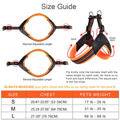 PORDLIE harness with 3M reflective straps improves night visibility