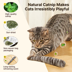Potaroma catnip inside delight enhances scent-driven stimulation during indoor play.