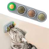 Potaroma wall-attachment catnip ball demonstrates secure play to keep cats engaged.