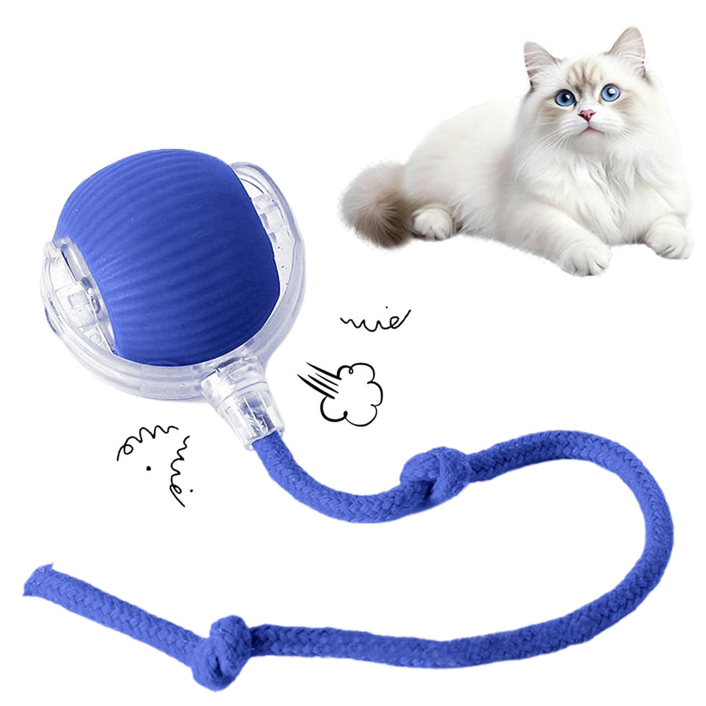 Pounce Pal cat toy front view shows blue rolling ball for active play and hunting-like engagement