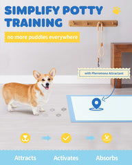 Powools 6-layer puppy pad shows ultra-absorbent gel formation for leak protection.