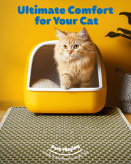 Powools EVA material offers soft paws-friendly comfort and odor-free use.