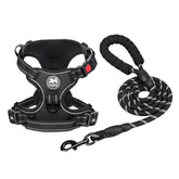 PoyPet harness front view showing no-pull design for calmer walks