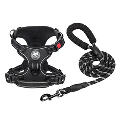 PoyPet harness front view showing no-pull design for calmer walks