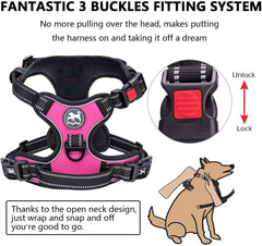 PoyPet 5ft leash with 360 rotating clasp reduces tangles during walks