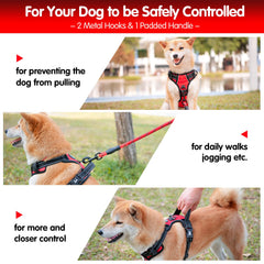 PoyPet harness with reflective stitching increases visibility at night.