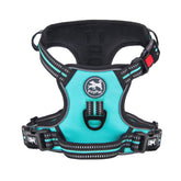 PoyPet No Pull Harness front clip mint blue for controlled walks