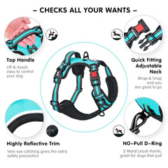 PoyPet harness reflective stitching enhances night visibility