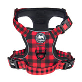 PoyPet No Pull Harness with three release buckles for easy on off and secure fit